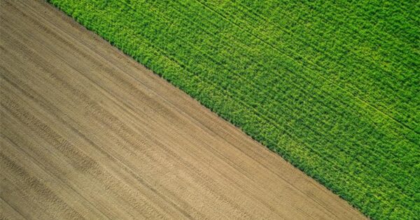 Hrvatska poljoprivreda nakon 2020. – uključite se u javne konzultacije