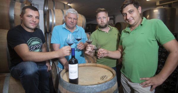 Nasljednici obiteljskog biznisa i Vinarije Grabovac, poduplali su površine pod vinovom lozom: S vjetrom u leđima iz Programa ruralnog razvoja izvoz vina širimo i na Ameriku