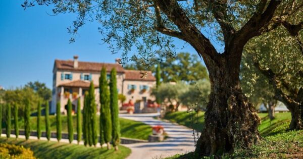 Vinarija Kabola – istarska priča o uspjehu i vinu