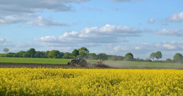 Novih 360 milijuna kuna pomoći poljoprivrednicima