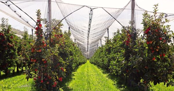 Novih 120 ugovora vrijednih gotovo 13,5 milijuna kuna iz tipa operacije 6.3.1