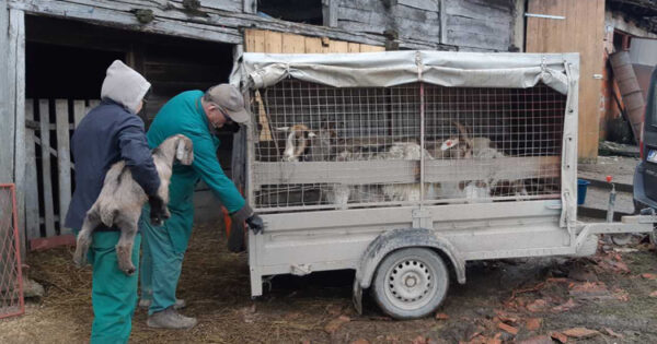 Isplaćeno 93 milijuna kuna potresom pogođenim područjima