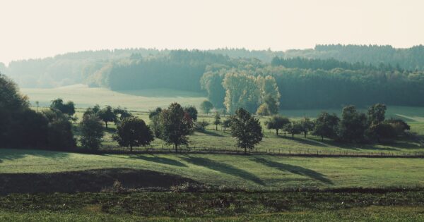 Agencija za plaćanja s 23 LAG-a dodatno ugovorila 33,2 milijuna kuna za provedbu lokalnih razvojnih strategija (LRS)