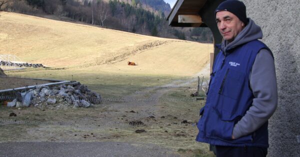 Obrt Bitoraj: Izgradili moderan peradarnik, od jaja rade vrhunsku tjesteninu, na redu je – agroturizam