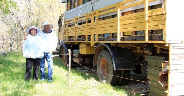 U požaru im izgorjela gotovo sva oprema, obitelj Šarar pčelama su vratila EU sredstva