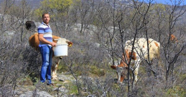 Filip Petrović (24): Ako ste prvih godina na pozitivnoj nuli – budite sretni