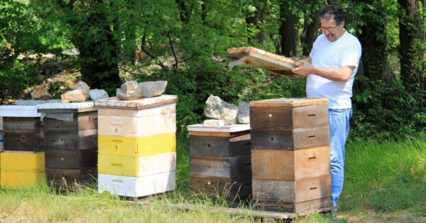 Silvio Bertone: Najgore je kada se samo računa dobit, a ne razmišlja o problemima