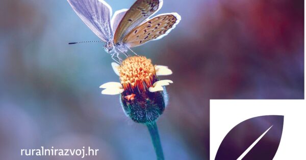 Objavljen je Pravilnik o izmjenama i dopunama Pravilnika o provedbi izravne potpore poljoprivredi i IAKS mjera ruralnog razvoja RH za 2020. godinu