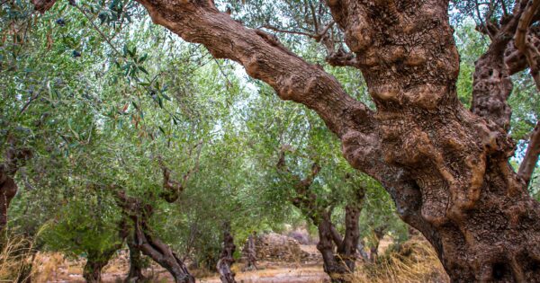 Radionice za potencijalne korisnike Mjere 6 u Puli i Splitu