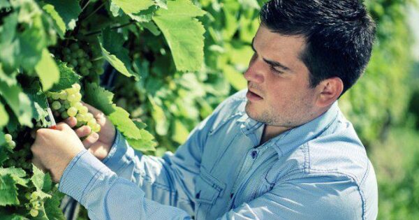 Vinarija Štampar: I stoljetna tradicija uvidjela je važnost ulaganja kroz sredstva iz EU fondova