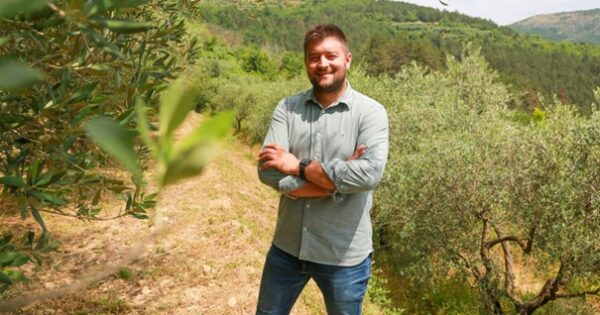 Maslinovo ulje mladog Ipše jedno je od 20 najboljih na svijetu