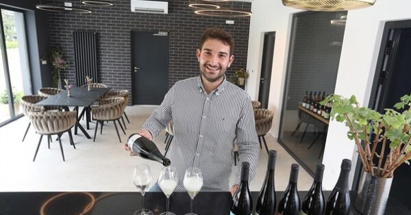 Nova vinarija, a preko brega stara klet s norveškim turistima: ‘Na pravom smo putu, osvojili smo i bronce na Decanteru‘