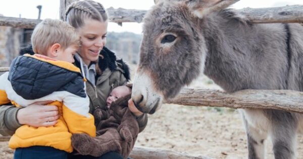 Korisnici EAFRD potpore u proizvodnji magarećeg mlijeka: ‘Jako je dobro za alergije i bronhitis‘