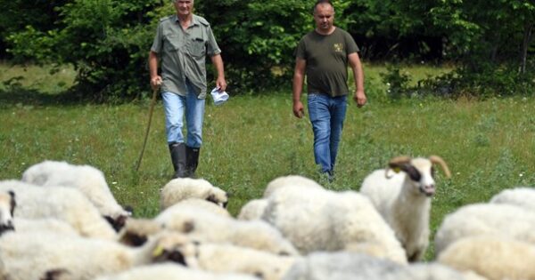 Uz potporu PRR RH uspješan razvoj obiteljskog poljoprivrednog gospodarstva Ramljak u Lici