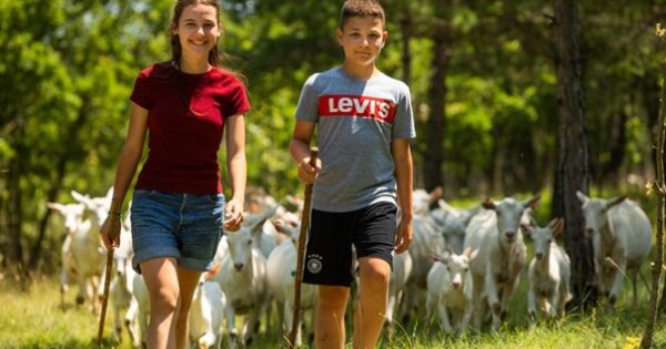 OPG “Mala roga” neobična je priča obitelji Radoš iz Aržana, od pomoći sinu do uspješnog obiteljskog posla