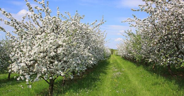 Obavijest za potencijalne korisnike četrnaestog natječaja za tip operacije 5.2.1.