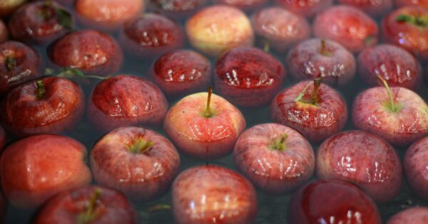 Od danas je u javnom savjetovanju natječaj za TOP 9.1.1 Uspostava proizvođačkih grupa i organizacija