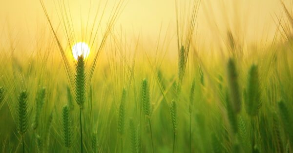 Pazin, Gospić, Zadar, Zagreb – Radionice o Strateškom planu ZPP 2023.-2027.