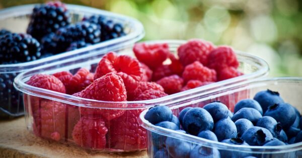 Objavljeni dopunjeni predlošci poslovnih planova – obavijest za tipove operacija 6.3.1 i 6.1.1