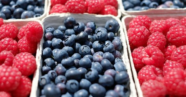 Podsjetnik poljoprivrednicima koji su podnijeli zahtjev za proizvodno vezanu potporu za voće, povrće i šećernu repu u 2023. godini