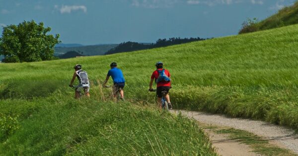 Novih 50 ugovora vrijednih više od 18 milijuna kuna iz Programa ruralnog razvoja za tip operacije 6.2.1.