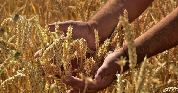 Objavljeni novi natječaji za Mjeru 21 vrijedni 200 milijuna kuna – Nastavak pomoći najpogođenijima korona krizom