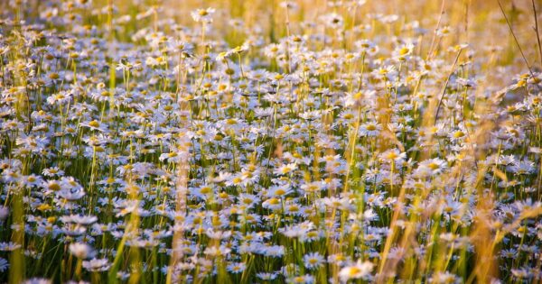 U Virovitičko-podravskoj županiji uručen ugovor o potpori vrijednoj 4 milijuna kuna