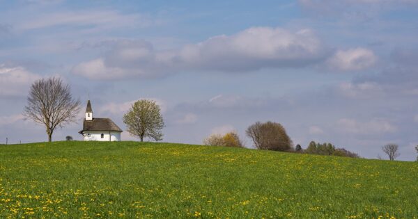 Program kompenzacijske mjere potpore depopuliranim područjima za 2025. godinu – podnošenje Zahtjeva za potporu od 15. studenog do 15. prosinca 2025.