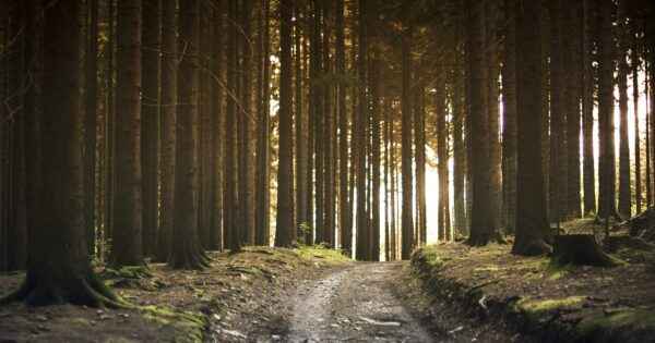 Obavijest za korisnike operacije 4.3.3.