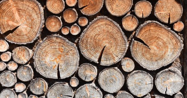 Prve izmjene Natječaja za provedbu intervencije 73.07. Modernizacija tehnologija u predindustrijskoj preradi drva