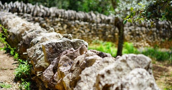 Objavljen Natječaj za tip operacije 4.4.1 Neproduktivna ulaganja povezana s očuvanjem okoliša