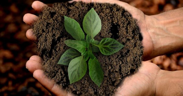 Značajan porast osiguranja u poljoprivredi – zbog novih pravila gotovo 300% više osiguranika nego prije dvije godine