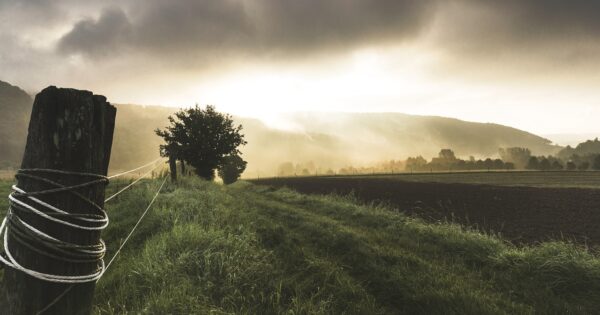 Otvoren Poziv za iskazivanje interesa za prijavu na  tip operacije 4.4.1. „Neproduktivna ulaganja povezana s očuvanjem okoliša“