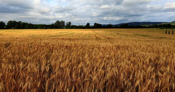 Izdano 208 novih ugovora vrijednih gotovo 26 milijuna kuna