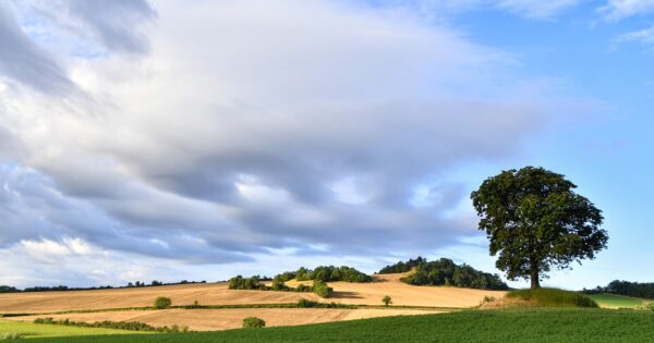 Objavljene Treće Izmjene Natječaja za provedbu intervencije 73.10 Potpora za ulaganja u primarnu poljoprivrednu proizvodnju