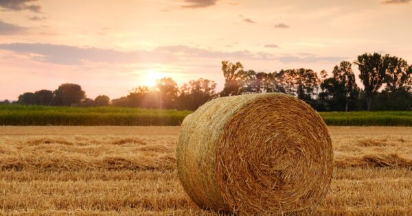 Odlični rezultati provedbe Programa ruralnog razvoja