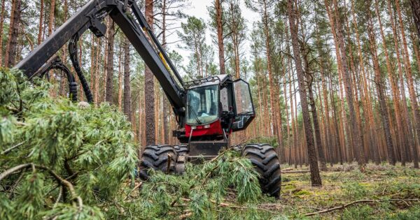 Novi natječaj za tip operacije 8.6.1 Modernizacija tehnologija, strojeva, alata i opreme u pridobivanju drva i šumskouzgojnim radovima