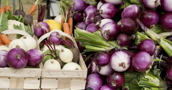 Prva izmjena Drugog natječaja za provedbu tipa operacije 16.4.1 Kratki lanci opskrbe i lokalna tržišta od 28. listopada 2021.