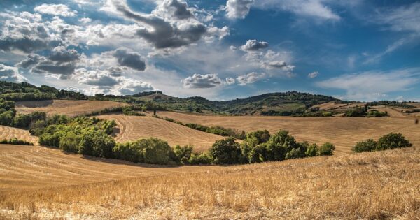 Strateški plan ZPP 2023.-2027. poslan na odobrenje u Europsku komisiju