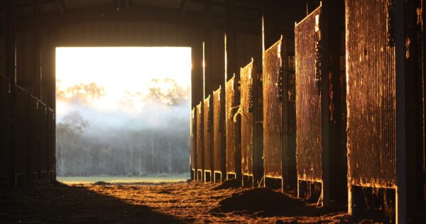 Nacrt Natječaja za provedbu tipa operacije 5.2.1. „Obnova poljoprivrednog zemljišta i proizvodnog potencijala“ od danas dostupan na javnom savjetovanju