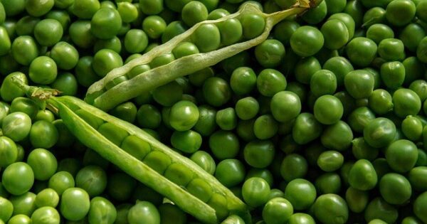 Za EKO proizvode potrošačima će biti dostupne informacije o svakoj fazi proizvodnje – novi pravilnik u e-savjetovanju