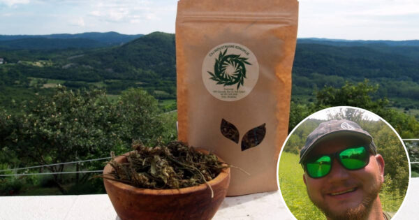 Sjemenke, ulje, brašno i čaj od industrijske konoplje s OPG Zornada