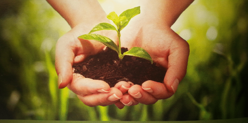 Pravilnik o provedbi izravne potpore poljoprivredi i IAKS mjera ruralnog razvoja za 2018. godinu