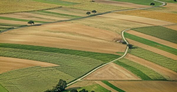 Pravilnik o provedbi tipa operacije 6.1.1. “Potpora mladim poljoprivrednicima”, i tipa operacije 6.3.1. “Potpora razvoju malih poljoprivrednih gospodarstava” iz Programa ruralnog razvoja Republike Hrvatske za razdoblje 2014. – 2020.