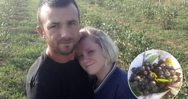 Ne morate imati najviše zemlje i najmodernije strojeve, uz volju i voljene, nebo je granica