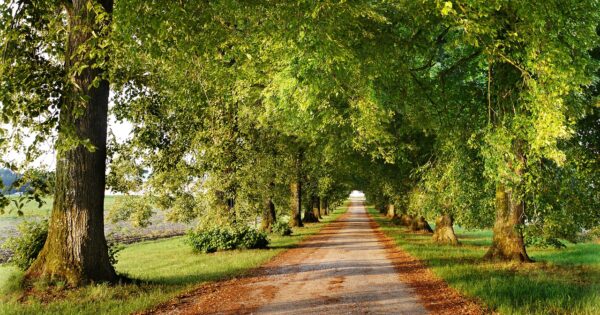 Radionice o mogućnosti korištenja potpora za provedbu tipa operacije 4.3.3 „Ulaganje u šumsku infrastrukturu“