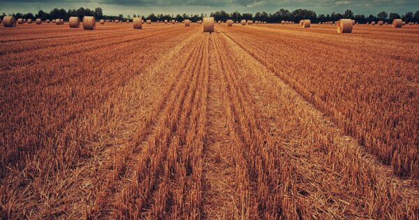 Pravilnik o provedbi mjera Programa ruralnog razvoja Republike Hrvatske za razdoblje 2014. – 2020.