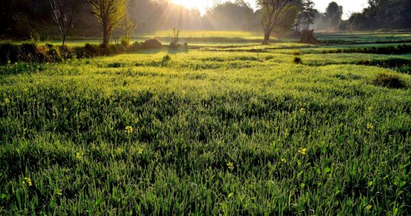 ENRD poziv na dostavu projektnih prijedloga iz ruralne bioekonomije