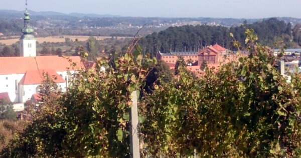 Poljoprivredom do resocijalizacije: Vrhunska vina, svinje, ovce, med iz Kaznionice u Lepoglavi