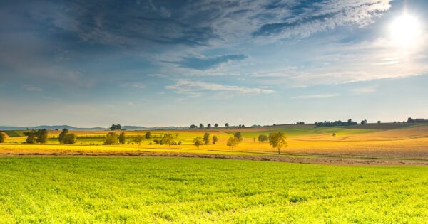 50 milijuna kuna za obnovu zemljišta i proizvodnog potencijala zbog šteta